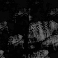 WL//WH Premiere: CRRDR "Paraphernalia" // (Anticyber EP) // [Sonidos Subterraneos]