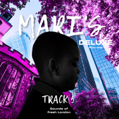 MARI'S DELUXE TRACK 5