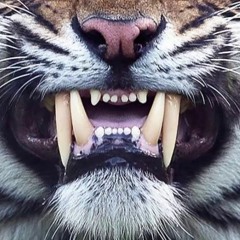 noblest hopes grow teeth