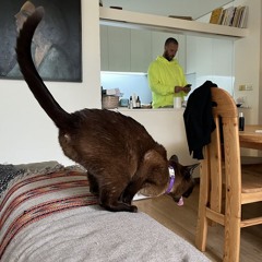 Conrad Standish 061125