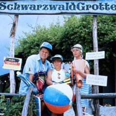 Pop Musik aus Deutschland bunt gemischt, 90s till now - Prost!