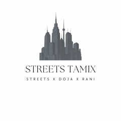 Streets X Doctor (Carnatic) X Rani Mix