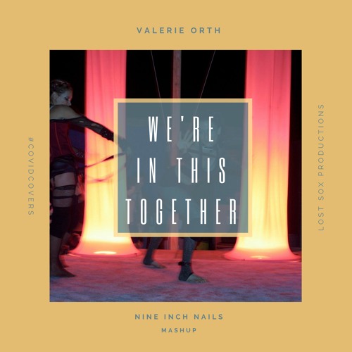 We're in This Together [Nine Inch Nails Mashup]