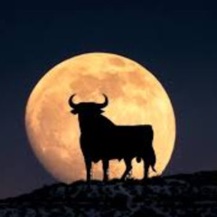 CUENTO LA VERDADERA HISTORIA DEL TORO ENAMORADO DE LA LUNA - UNICO