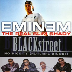 No Diggity x The Real Slim Shady (ericp0p mashup)