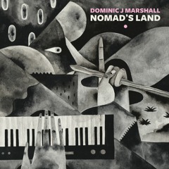 Dominic J - Marshall - Coldshwr [Nomad's Land LP]