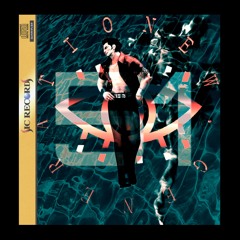 BRAD BURNS (SIC RECORDS FEATURE)