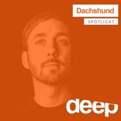 Deephouseit Spotlight - Dachshund