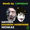 Скачать видео: ریمیکس رپ فارسی هایده و هیچکس - خانوم مورفین (Remix CannabiMix) Haydeh Ft Hichkas - Khanom Morfin