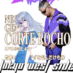 LA VIDA ES UN CARRUSEL PVZ JERK