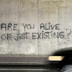 Build Up 1/2 (LIVE SET)