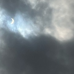 typical (sorrowbringer)