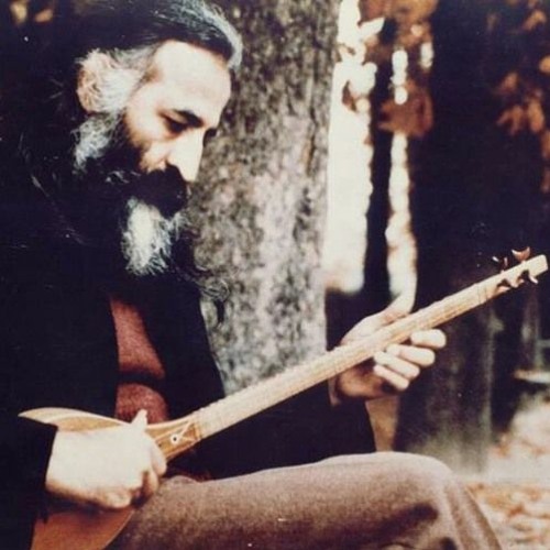 محمدرضا لطفی