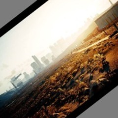 disharmony in Society