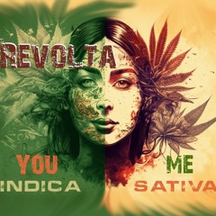 Revolta - Opposites Attract