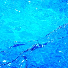 °‧✩ mahi-mahi🫧°₊‧