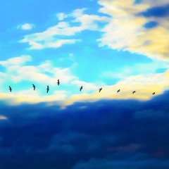 Follow Your Heart - Top 100 Comfortably In Triple J's Latest Comp, Out Of Tons Of Nationwide Entries