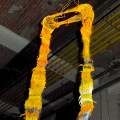 The Arms Of Chronoportation About Their Quantum Memory