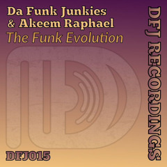The Funk Evolution (Radio Edit)