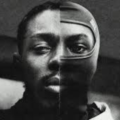 Knucks - Leon the professional RMXbyJAQB