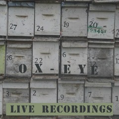 The Way The Wind Blows