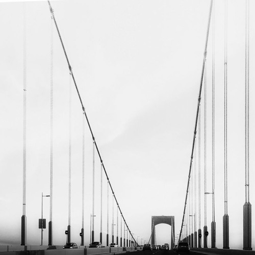 ♾️ groovy ♾️ w/ Beef.