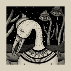 The Girl Who Thought She Was A Bird