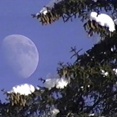 i wish i was dead and cold