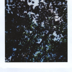 Cloud9 (feat.김유민)