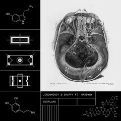 jordnmoody x snuffy - Overload Ft. Mardyny