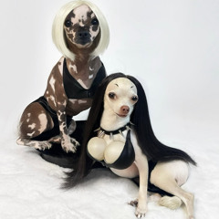 lab grown