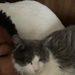 doughuntboyK , egomaniacK, runninoffyerksK