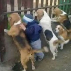 DEEJAY RODRII - COTXI OF MORA  #1