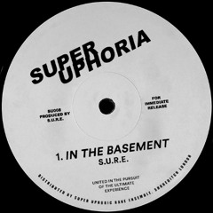 In The Basement