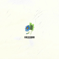 daylight savings time