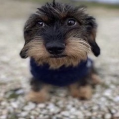 MONTAGEM MELODIA MAXIMA 1.0 (MEGA SLOWED) by ⚡HIAN⚡