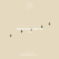 Winter Hummingbird Mix GROOV JEJU | Chae