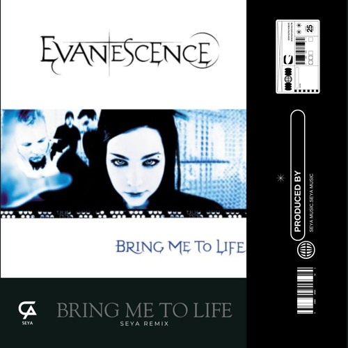 BRING ME TO LIFE - Evanescence (SEYA remix)