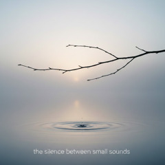 “The Silence Between Small Sounds”