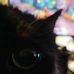 Paint Your Own Storm