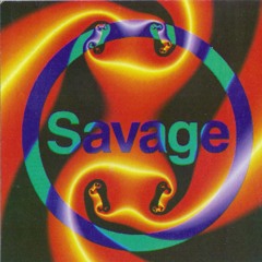 Savage Meltdown ('95)
