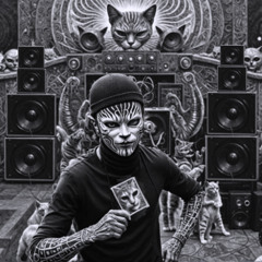 India Festival 2025 dj set