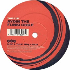 Aydin The Funki Chile - This? (1999)
