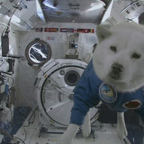 OUTER SPACE