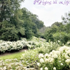 lying all ur life prod chew + azkii