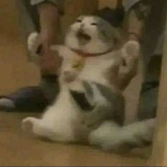 NTR BÂTARD D'OGGY - from CBRSQD [REUPLOAD]