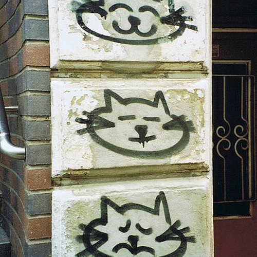 catsong w raonn & ti3v
