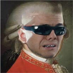 MOZARTJOHNY - STAY FLY SYMPHONY 40.