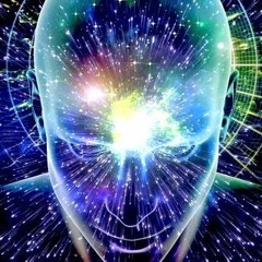 8 Hz Activate Pt 001