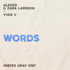 Words (Mister Gray Opener Edit)